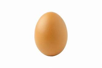 Egg