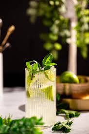Mint Mojito