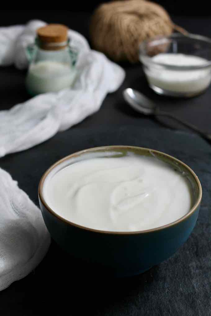Plain Dahi