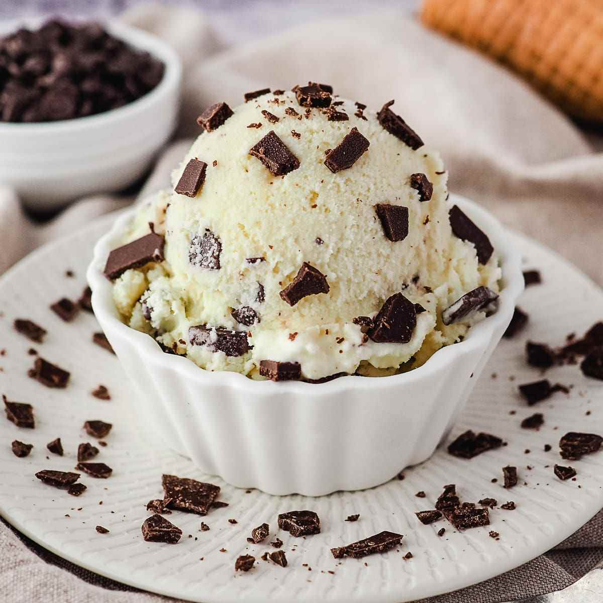 Vanilla Choco Chips Ice Cream
