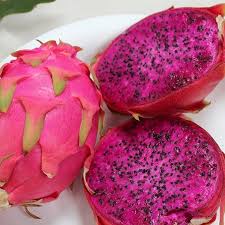Dragon fruit
