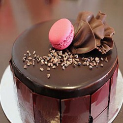 Belgium Chocolate Cake (500gms)