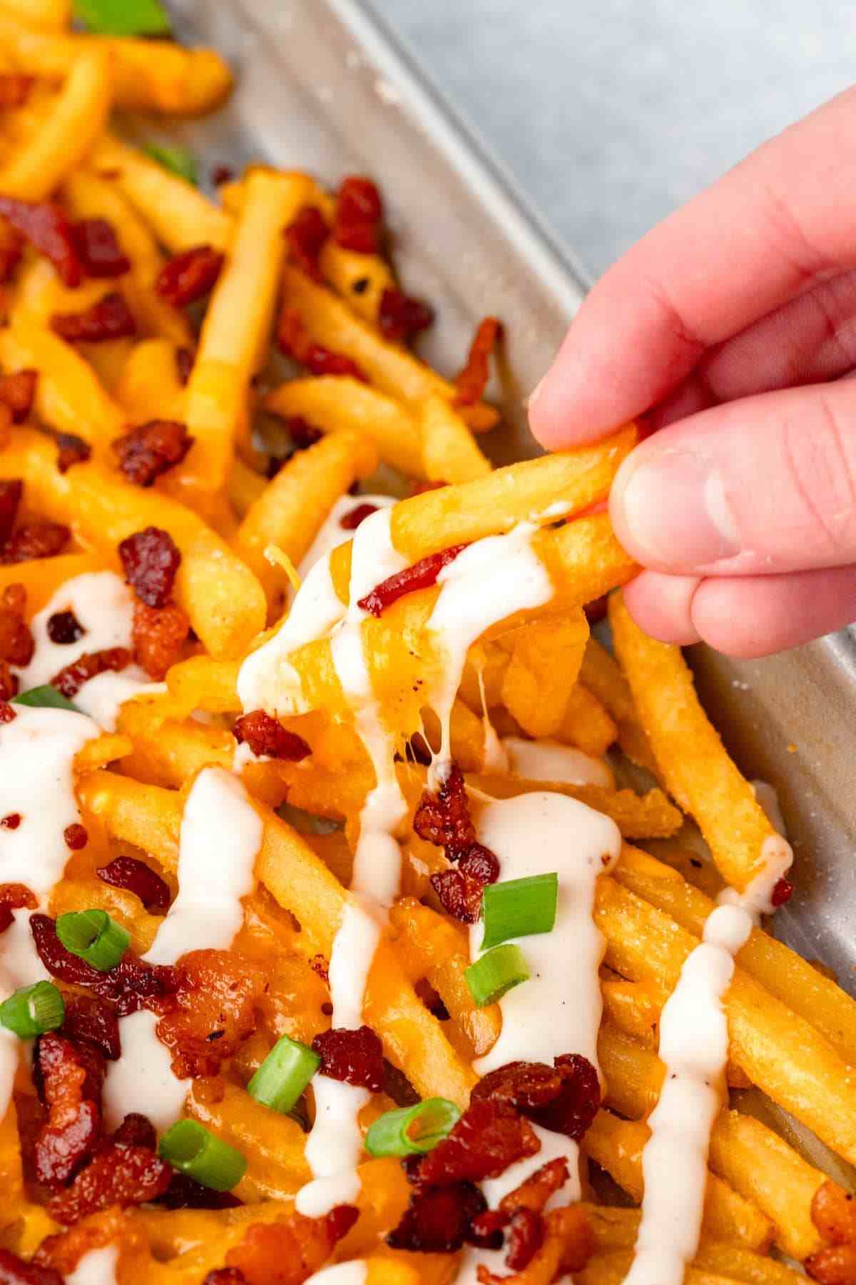 FRENCH FRIES ( Plain/cheese)