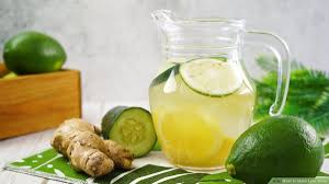 Fresh Lime Water (Salty)