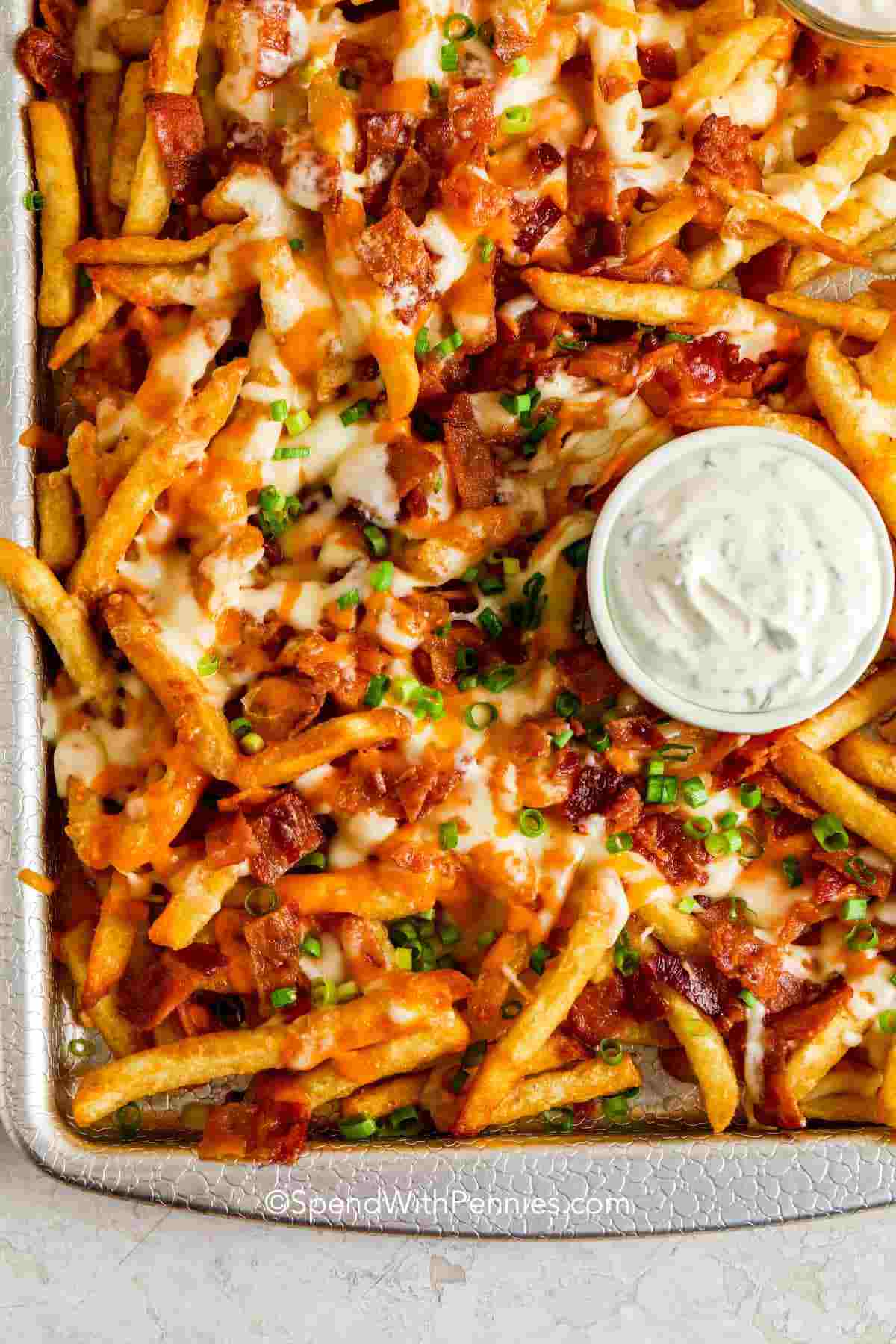 Loaded Cheesy French Fry