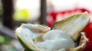 Nariyal paani (Malai)