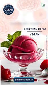 Raspberry Sorbet (Vegan)