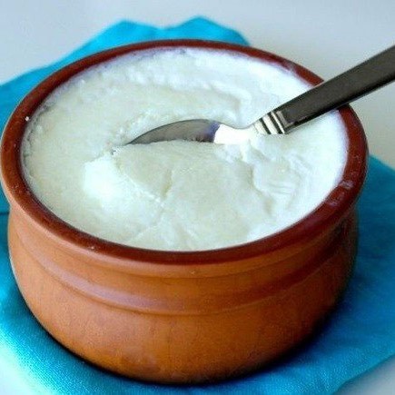 Plain Curd
